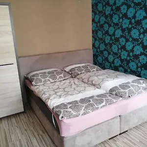 1+1 V Karlovych Varech Apartment